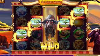 BUFFALO WINS Video Slot Casino Game with a FREE SPIN BONUS
