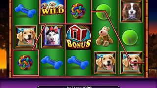 PAWPALOOZA Video Slot Casino Game with a PAWPALOOZA FREE SPIN BONUS
