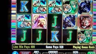 Cats Slot Machine Bonus - Free Spins Win