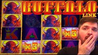 MASSIVE WIN ON NEW Buffalo Link Slot Machine!