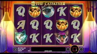 The Catfather• - Onlinecasinos.Best