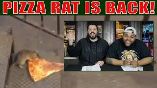 Pizza Rat is Back! Or is he? We Smell a Rat!