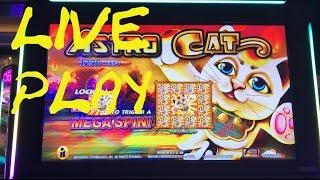 Astro Cat Live Play $6.00 Bet at The Cosmopolitan IT