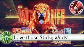 • The Wild Life WA VLT slot machine, Bonus, Big Win