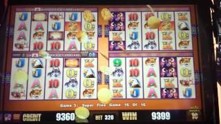 Wonder 4/Buffalo Super Free Games - Big Win