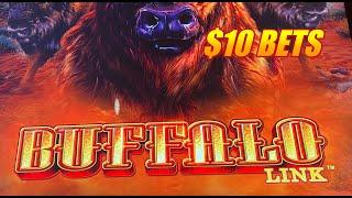 $10 Bets on the new Buffalo Link Slot w: Big Wins