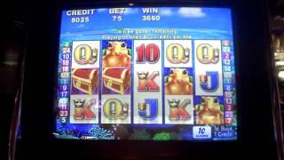 Turtle Treasure slot bonus win at Borgata Casino in AC