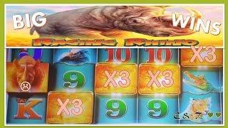 Rhinoooooo - Slot Machine Bonuses & Line Hit MAX BET ~ WMS•