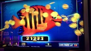 Fishy Fishy Fishy!!! Slot machine bonuses!!!