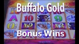 BUFFALO GOLD: BONUS WINS
