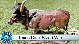 Texas Dice Slot Machine with a Texas Sized Win