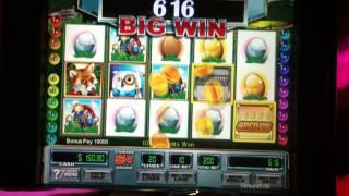 Goosin' Around Slot Machine Bonus - Big Win!