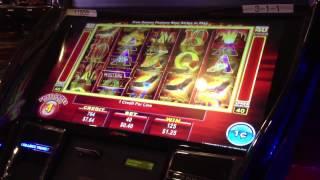 Trying out the Mustang Money Slot Machine
