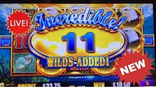 First Look* Wild Texa'coins Slot* Birds of pay Slot* over 100x win