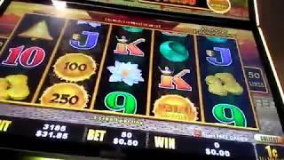 Dragon cash