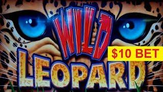 Wild Leopard Slot - AWESOME RETRIGGERS - BIG WIN Bonus!