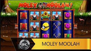 Moley Moolah slot by Reflex Gaming