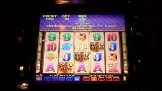 Lucky Leopard slot bonus win at Sands Casino
