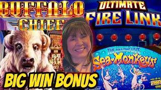 BIG WIN BONUS on Buffalo Chief! Ultimate Fire Link & Sea Monkey Bonuses