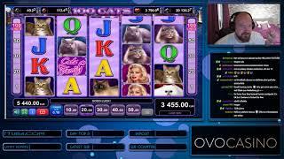 Really Nice Line Hit From 100 Cats Slot At OVO Casino!!
