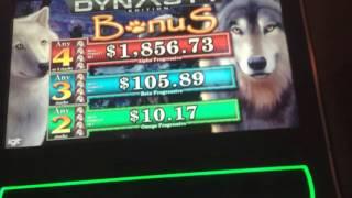 Wolf run dynasty slot machine bonus with progressive