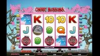 Cherry Blossoms• - Onlinecasinos.Best