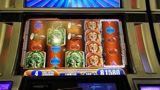 Another super mega bonus win on King of Africa slot machine