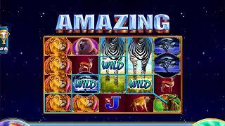 WILD ZEBRA Video Slot Casino Game with an "EPIC WIN" FREE SPIN BONUS