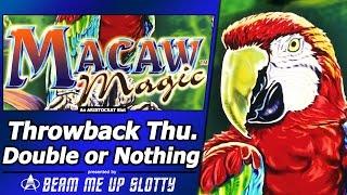 Macaw Magic Slot - TBT Double or Nothing, Live Play and Free Spins Bonus