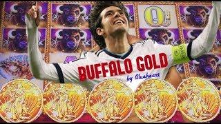 •5 BONUS SYMBOLS• BUFFALO GOLD slot machine BONUS WIN and MORE!